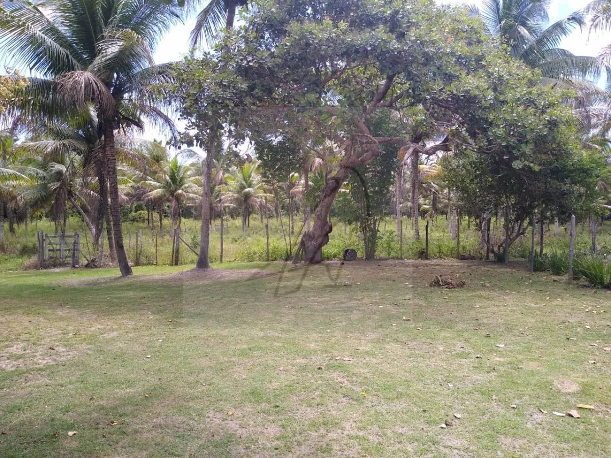 Imagem Vendo Fazenda produtiva 250mil m2, Conde / BA