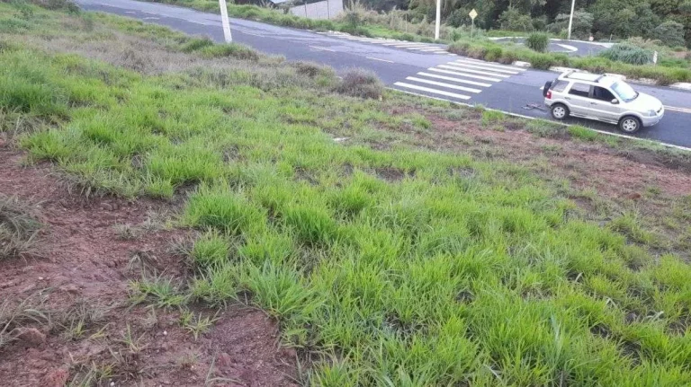 Imagem Lote à venda em Barbacena, SERRA VERDE