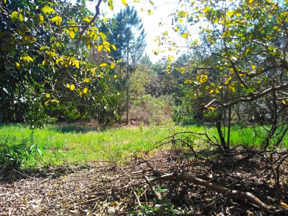 Imagem Chacara-para-Venda-em-Mirandas-Tatui-SP