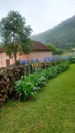 Imagem Chácara - Sítio com 3 Dormitorio(s) localizado(a) no bairro Centro em Morro Reuter / RIO GRANDE DO SUL Ref.:1587