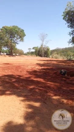 Imagem Área para Venda em Aparecida de Goiânia, Chácaras São Pedro