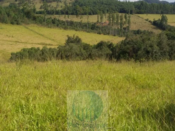 Imagem SÍTIO A VENDA 12,5 ALQUEIRES a R$ 88.000 o Alqueire, JACUÍ - SUL DE MINAS GERAIS, para gado, milho, soja.