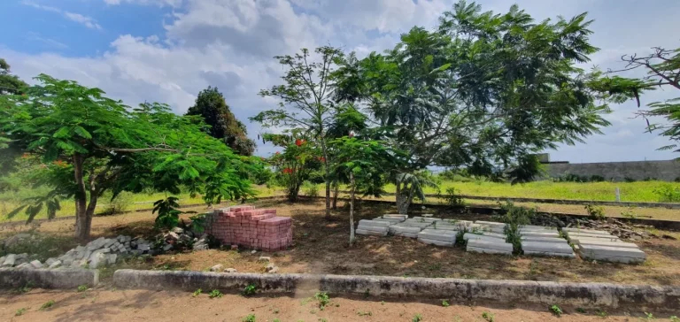 Imagem Terreno para Venda em Sapeaçu, SAPEAÇU