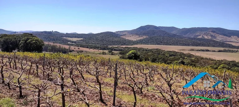 Imagem Propriedade Rural de Alto Padrão: Pronta para Produção e Investimento!