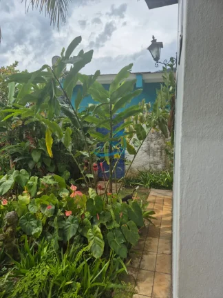 Imagem Casa com 3 dormitórios a venda no Lazaro em Ubatuba.