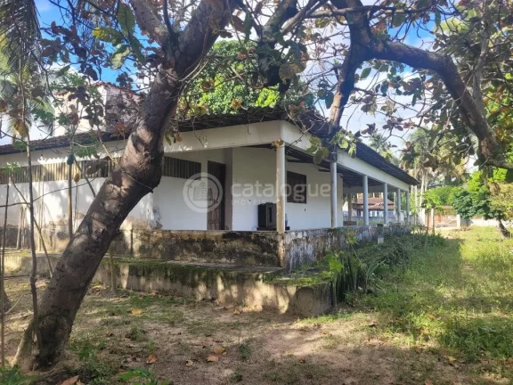 Imagem Chácara à Venda em São José de Mipibu
