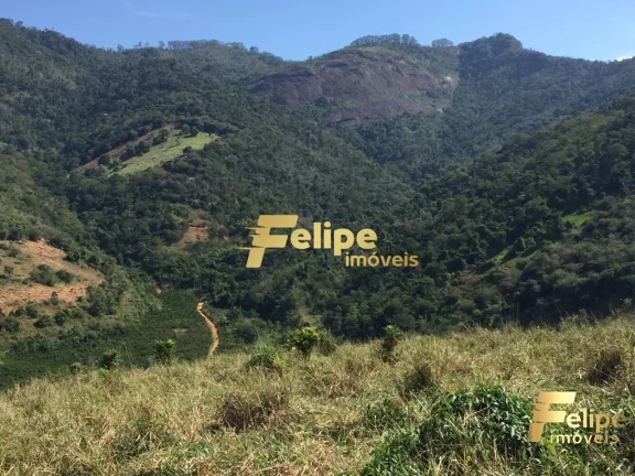 Imagem FAZENDA EM COLATINA (28KM DO CENTRO) / UM IMPERDÍVEL NEGÓCIO!