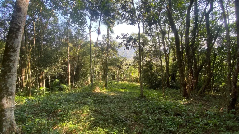 Imagem Terreno à venda em Garopaba-SC, bairro Ressacada, com 172.989,94 m² de área! Venha conferir!