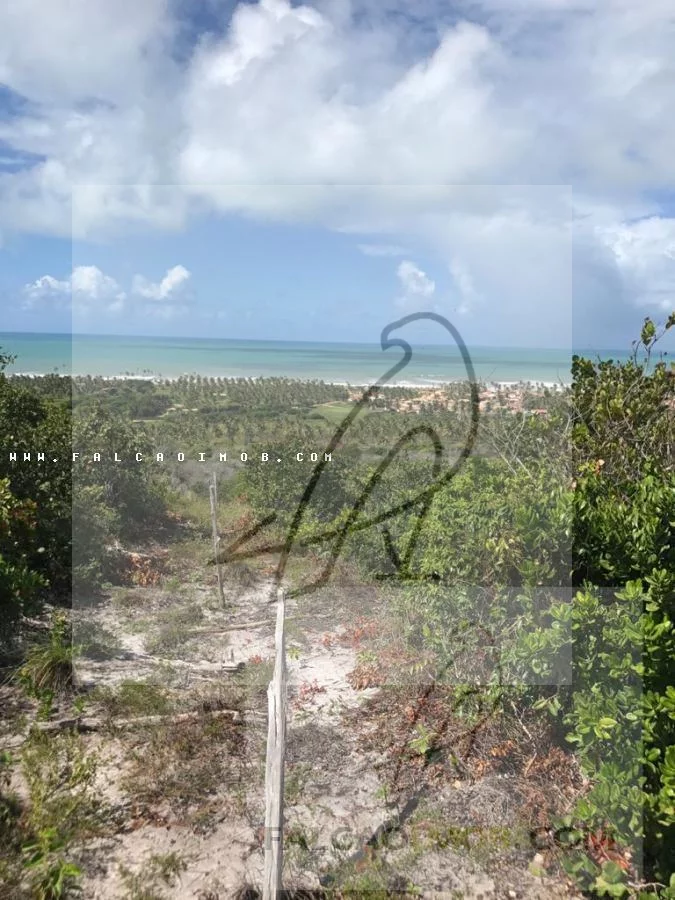 Imagem Terreno para Venda em Conde / BA no bairro Barra do Itariri