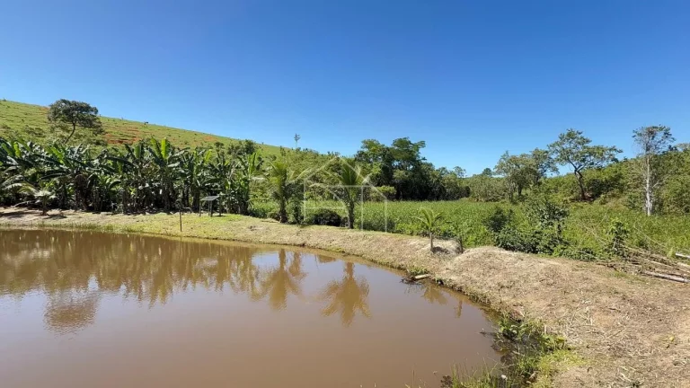 Imagem Sítio com Casa à venda, 100.614,00 m², Timbuí - Fundão/ES