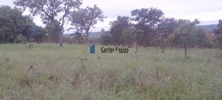 Imagem Chácara para Venda em Brasília, Setor Habitacional Tororó (Jardim Botânico), 1 dormitório, 1 banheiro, 2 vagas