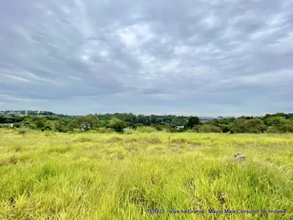 Imagem Lote 610 m² ZUM/CC - Bairro Gramado / Acesso pela Est. Mun. Walter Steurer
