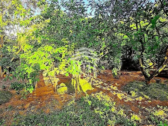 Imagem Sítio em Centro, Glorinha/RS