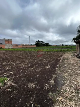 Imagem TERRENO à venda com 15924m² por R$ 6.370.000,00 no bairro Planta Santa Lúcia - PIRAQUARA / PR