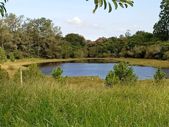 Imagem Sítio a venda com 9 Hectares, Passo da Areia, Viamão/RS
