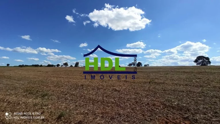 Imagem 28 alqs com 24,5 alqs em Soja.