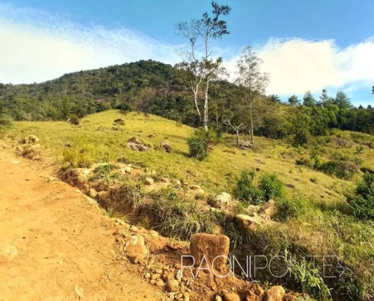 Imagem Fazenda à Venda, 70.000 m² em Sodrelândia - Trajano De Morais