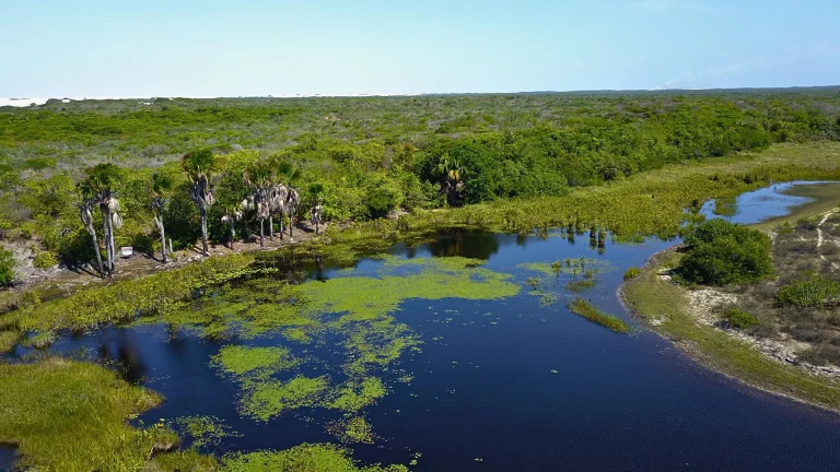 Imagem Entre o rio e as dunas. Um território raro nos Lençóis Maranhenses