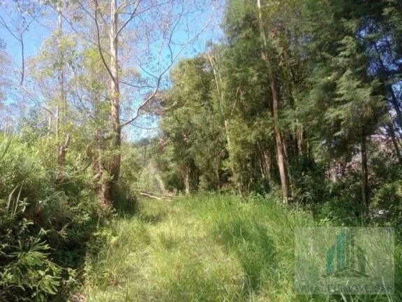 Imagem Terreno, 1300m2, à venda em Suzano, Jardim dos Eucaliptos