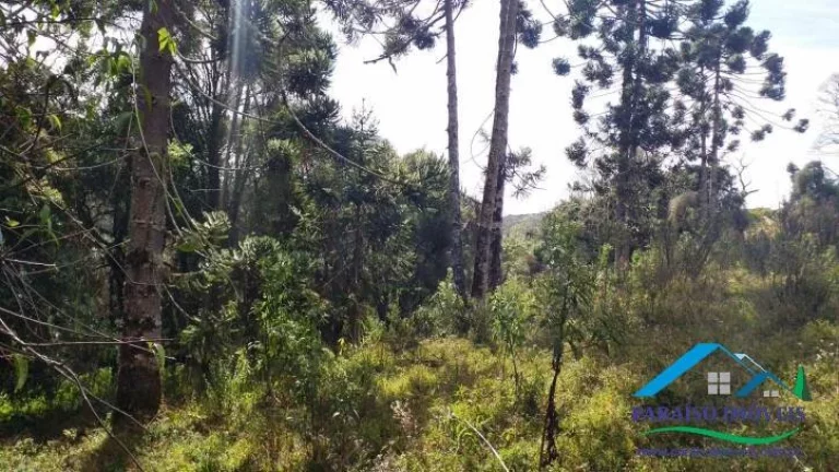 Imagem Paraíso para amantes da natureza: Terreno com cachoeira em Gonçalves!