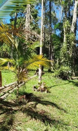 Imagem Terreno Comercial para Venda em Nova Friburgo, Mury, 1 dormitório, 1 banheiro, 3 vagas