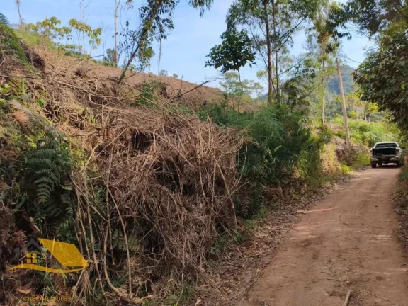 Imagem Vendo Àrea Rural a partir de 10 mil mts², Boa Topografia, Com RGI