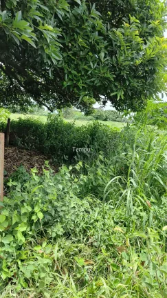 Imagem Terreno à venda no bairro Nova Fátima - Hidrolândia/GO