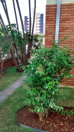 Imagem Apartamento 3 dormitórios com suíte