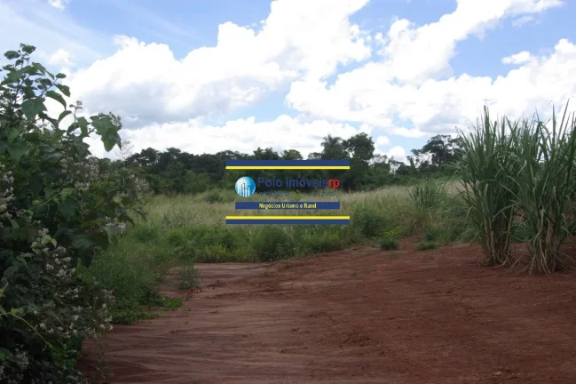 Imagem Sitio 25 alqueires vende R$ 140.000 alqueire, entre Altinópolis - SP e São Sebastião do Paraíso MG