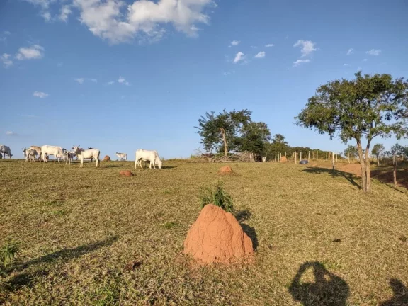 Imagem Belíssimo sítio à venda localizado em Cabreúva-SP