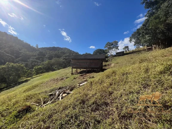 Imagem Lindo Sítio a Venda em Santo Antônio do Pinhal - OPORTUNIDADE!