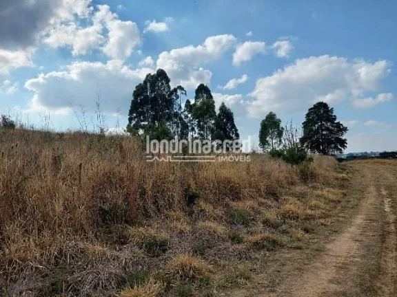 Imagem Terreno à venda Centro, Ponta Grossa - PR