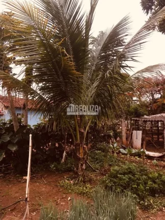 Imagem Oportunidade! Fazenda à venda em Conceição das Alagoas