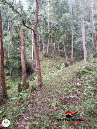Imagem Terreno a Venda no Bairro do Centro em Piranguçu - MG.