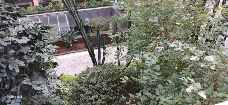 Imagem Apartamento com 3 dormitórios e vaga de garagem na Bela Vista