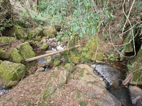 Imagem Lindo sítio à Venda em Piracaia