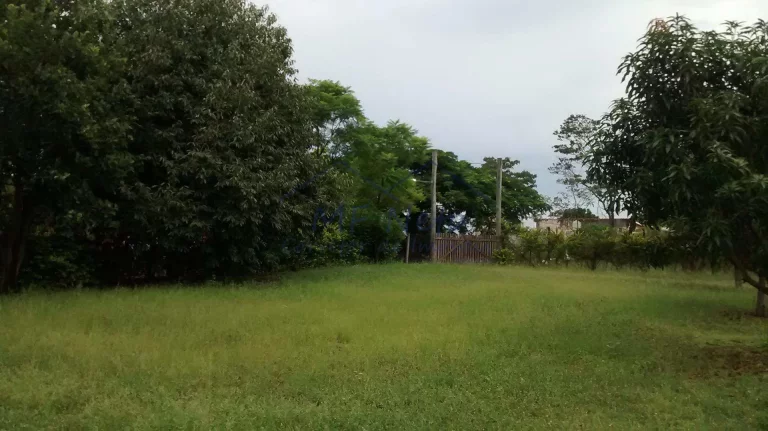 Imagem Chácara