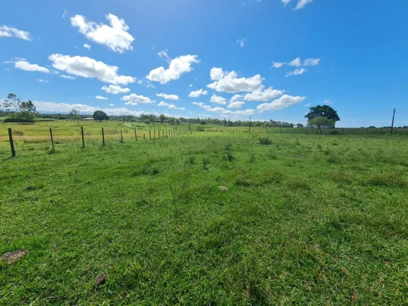 Imagem Vendo em Araruama fazenda 52 alqueires E 350 cabeças de gados.