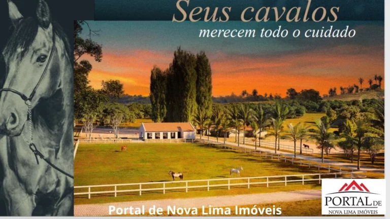 Imagem Área de 20.000 m² a venda em condmínio Fechado. - Lagoa, Quadra, Pista para Cavalo e muito mais para você e sua família