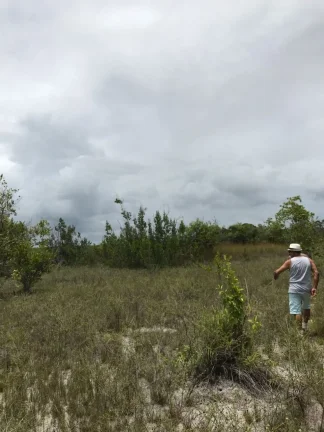 Imagem Terreno com 650.000m² à venda no bairro Velha Boipeba, em Cairu-BA
