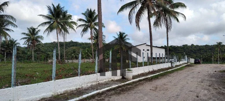 Imagem Terreno de 7.237m², à venda, totalmente cercado, localizado em Cruz de Rebouças, Igarassu - PE.