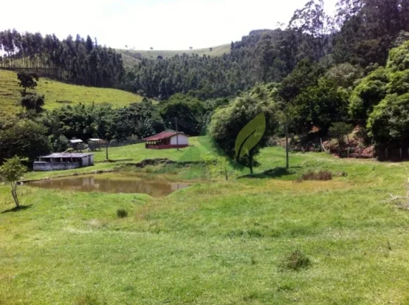 Imagem Fazenda de 48 Alqueires à Venda em Piracaia: Oportunidade Única