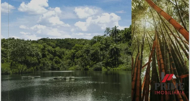Imagem Fazendinha - Condominio Terras Verdes - Lagoa Santa