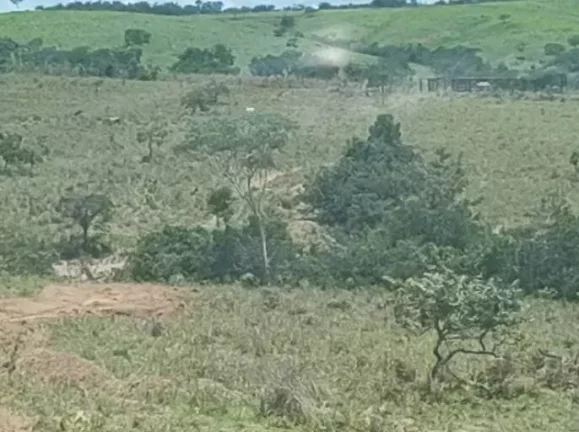 Imagem Fazenda 10 Alqueires à Venda em Luziânia, Goiás!