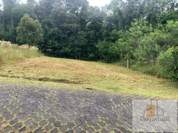 Imagem SÂO JORGE - SIDERÓPOLIS