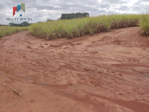 Imagem Fazenda região de Tatuí SP