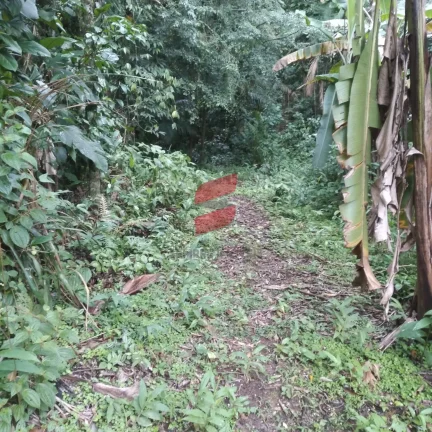 Imagem CHÁCARA com 2 dormitórios à venda com 16000m² por R$ 375.000,00 no bairro Rio do Nunes - ANTONINA / PR