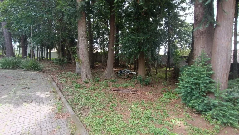 Imagem Terreno no Ahú ZR3. 5.898 m2. Ideal para condominio fechado
