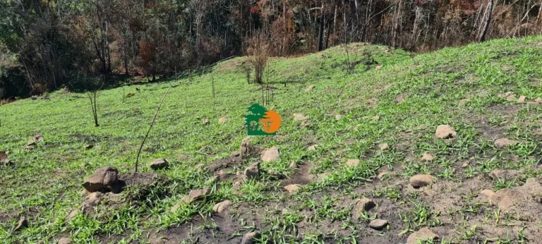 Imagem Chácara para Venda em São Roque, Centro (canguera), 3 dormitórios, 2 suítes, 1 banheiro