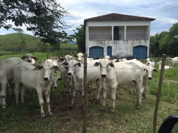 VENDO FAZENDA COM 30 ALQUEIRES EM SILVA JARDIM, AGUA POR GRAVIDADE